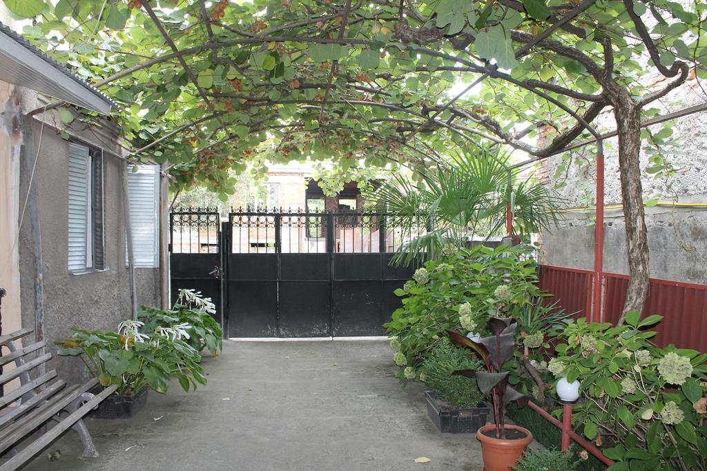 The Kiwi House Ξενοδοχείο Lagodekhi Εξωτερικό φωτογραφία