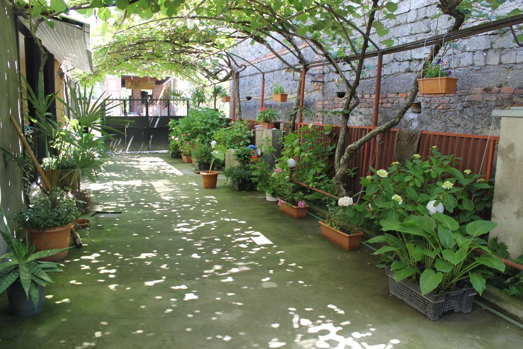 The Kiwi House Ξενοδοχείο Lagodekhi Εξωτερικό φωτογραφία