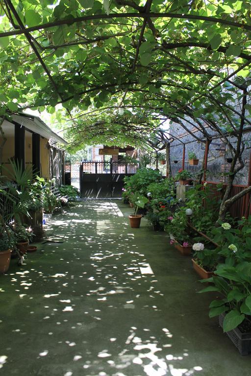 The Kiwi House Ξενοδοχείο Lagodekhi Εξωτερικό φωτογραφία