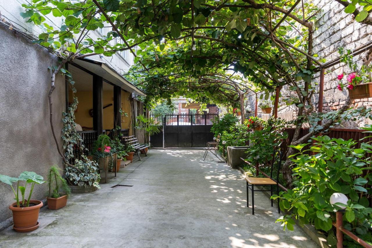 The Kiwi House Ξενοδοχείο Lagodekhi Εξωτερικό φωτογραφία