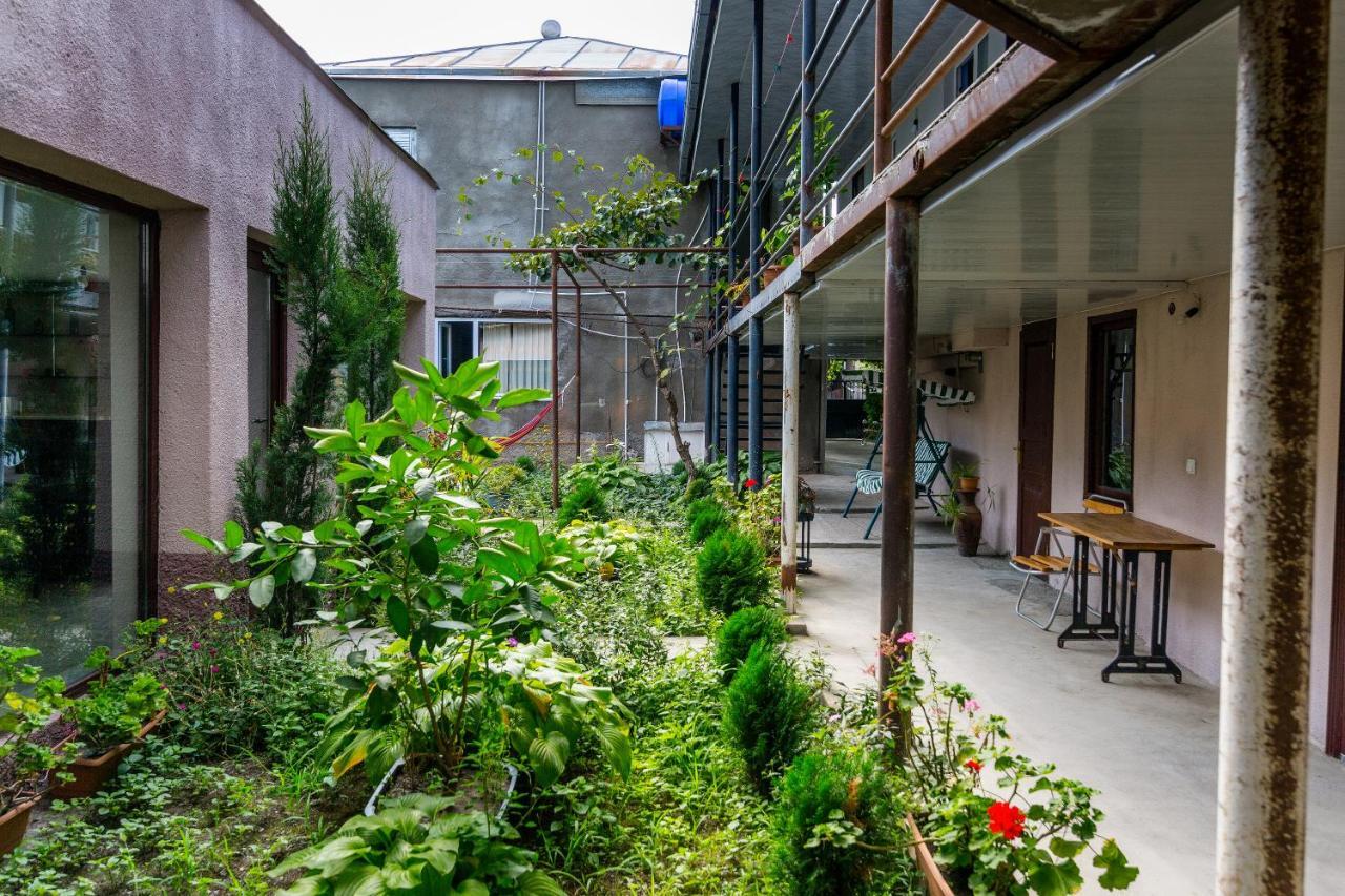 The Kiwi House Ξενοδοχείο Lagodekhi Εξωτερικό φωτογραφία